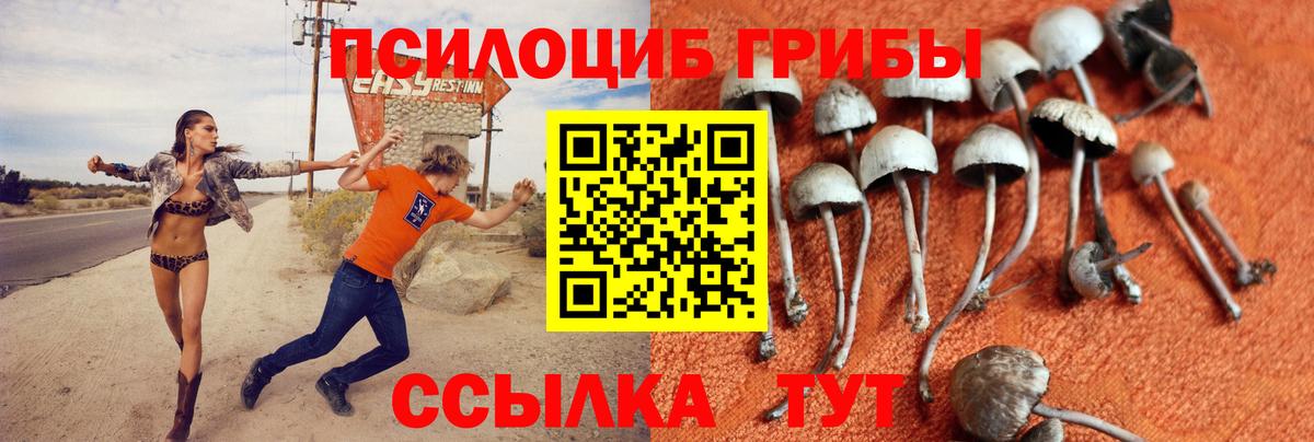 Галлюциногенные грибы GOLDEN TEACHER Всеволожск